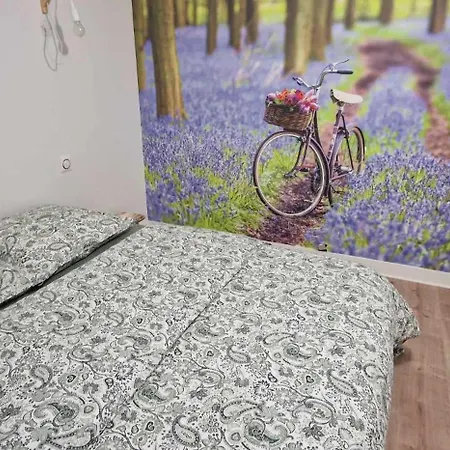 La Maison De Morgane